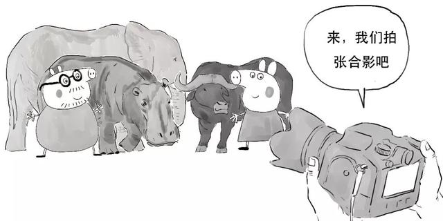 科创板是什么意思，科创板注册制什么意思（科创板还没懂？赶紧上车）