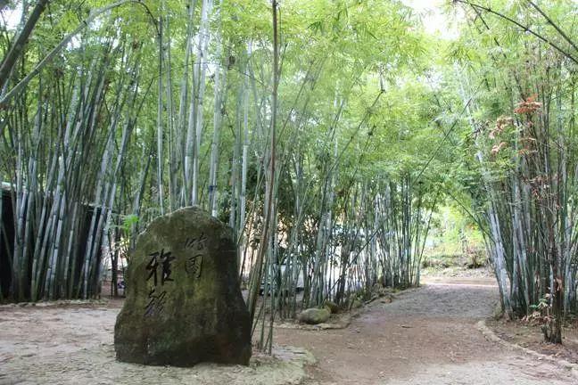 思阳服饰（三月三）