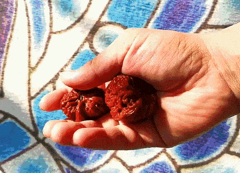 盘他是什么梗，盘你是什么意思有何梗（每日一词：盘他）