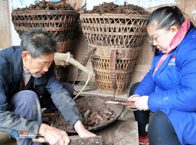 巴岩姜多少钱一斤,巴岩姜多少钱一斤收购(村民采挖一年收入两三千)
