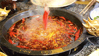 拍立淘是什么意思，手机淘宝拍立淘使用教程（学物理的坐不住了……）