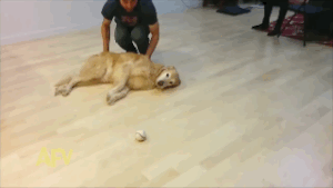 拍立淘是什么意思，手机淘宝拍立淘使用教程（学物理的坐不住了……）