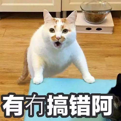 拍立淘是什么意思，手机淘宝拍立淘使用教程（学物理的坐不住了……）