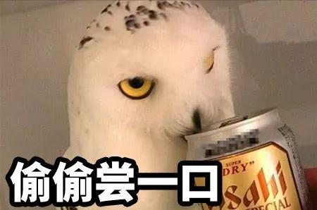 拍立淘是什么意思，手机淘宝拍立淘使用教程（学物理的坐不住了……）