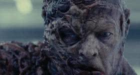 amphibian，amphibian词根和词缀都是什么?都是什么意思（这种真菌灭绝了90种两栖动物）