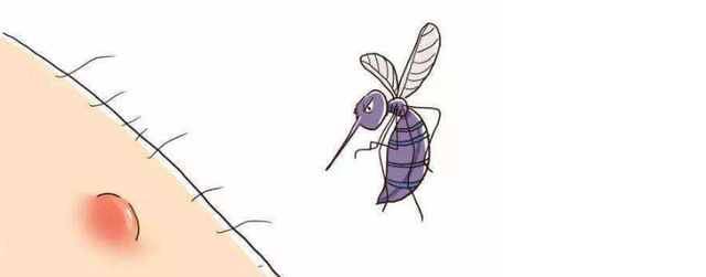 灭蚊灯有用吗，小米灭蚊灯效果怎么样（灭蚊灯真的有用吗）