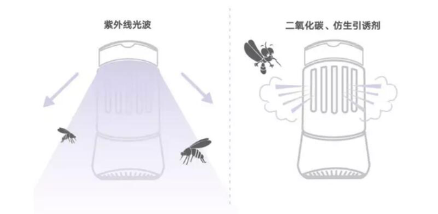 灭蚊灯有用吗，小米灭蚊灯效果怎么样（灭蚊灯真的有用吗）