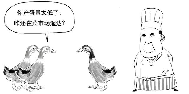 科创板是什么意思，科创板注册制什么意思（科创板还没懂？赶紧上车）