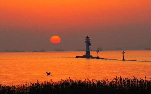 四川身份证开头（310103、310102、310108...）