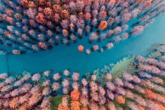 四川身份证开头（310103、310102、310108...）