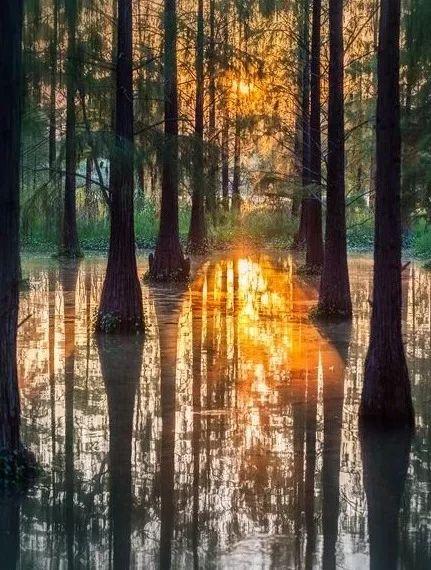 四川身份证开头（310103、310102、310108...）