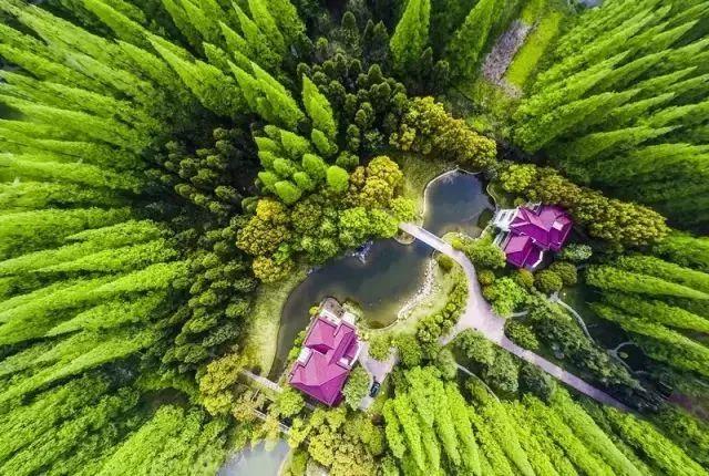 四川身份证开头（310103、310102、310108...）