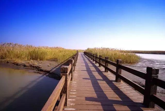 四川身份证开头（310103、310102、310108...）