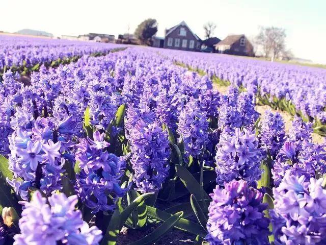 四川身份证开头（310103、310102、310108...）