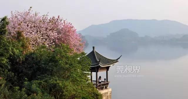 东莞清溪镇哪里好玩，东莞清溪镇哪里好玩儿（东莞这些避暑好地方）