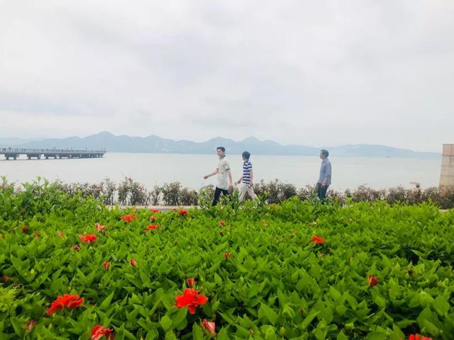 清明节可以野餐吗（草地野餐，属于春天的仪式感）