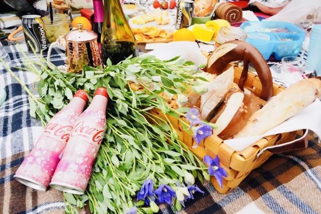 清明节可以野餐吗（草地野餐，属于春天的仪式感）