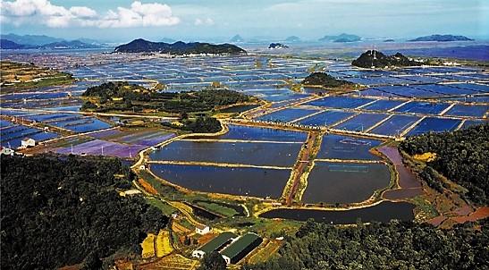 中国旅游日是哪一天，中国旅游日世界旅游日分别是哪一天（你知道中国旅游日为什么定在“5·19”吗）