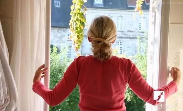 吊兰和绿萝吸甲醛哪个好，吊兰怎么养才能更旺盛（吸甲醛最好的植物排行榜来了）