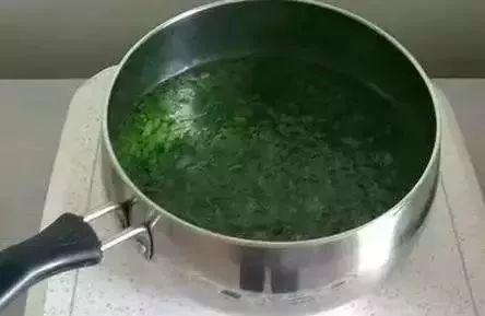 艾叶水可以洗脸吗，艾草可以洗脸吗（这种野草祛湿养气功效强大）