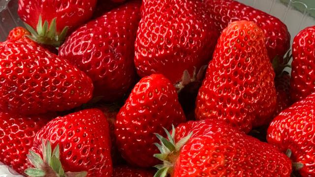 草莓甜心，草莓甜心公主跑酷下载（“五星级”草莓吃过吗图片）