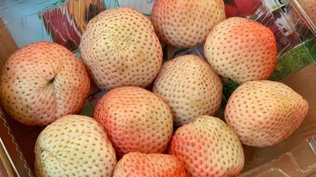 草莓甜心，草莓甜心公主跑酷下载（“五星级”草莓吃过吗图片）