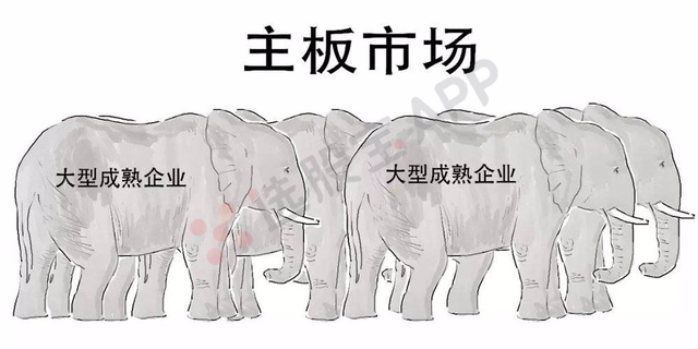 什么是科创板股票，怎么才能买（第一次有人把科创板讲得这么简单明了）