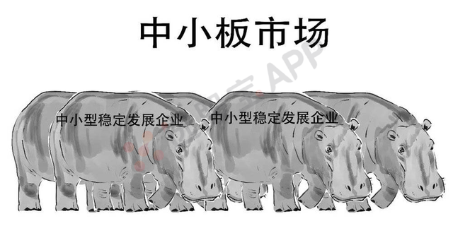 什么是科创板股票，怎么才能买（第一次有人把科创板讲得这么简单明了）