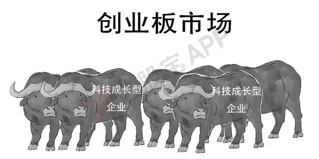 什么是科创板股票，怎么才能买（第一次有人把科创板讲得这么简单明了）