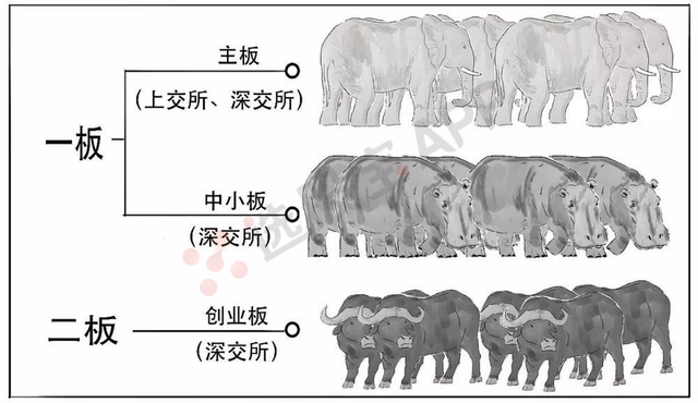 什么是科创板股票，怎么才能买（第一次有人把科创板讲得这么简单明了）