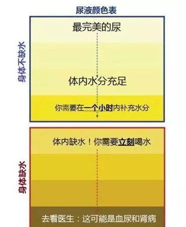 1700千焦等于多少大卡，一天摄入2000千焦会胖吗（多喝水和少喝水的人）