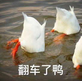 雷人是什么意思啊（别再用这些糟糕的英语表达了）