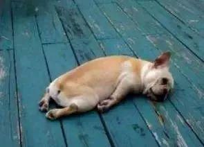 dia拼音怎么读视频，沙爹和沙嗲怎么读（广东人会说不会写的315个粤语字）