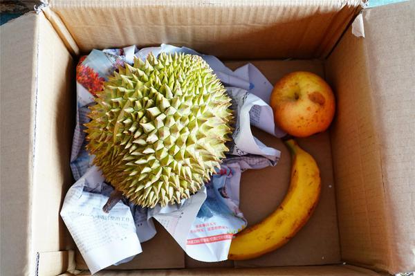 怎么判断榴莲是否熟了可以吃，怎样判断榴莲的生熟（辨生熟、催熟、剥皮全搞定）