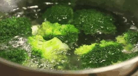 香椿炒鸡蛋的禁忌，香椿炒鸡蛋的禁忌有哪些（老人贪吃香椿炒蛋竟致多器官衰竭）