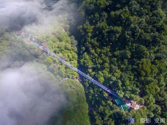 玻璃栈道景区有哪些，听说东莞有玻璃栈道（安徽玻璃栈桥大盘点）