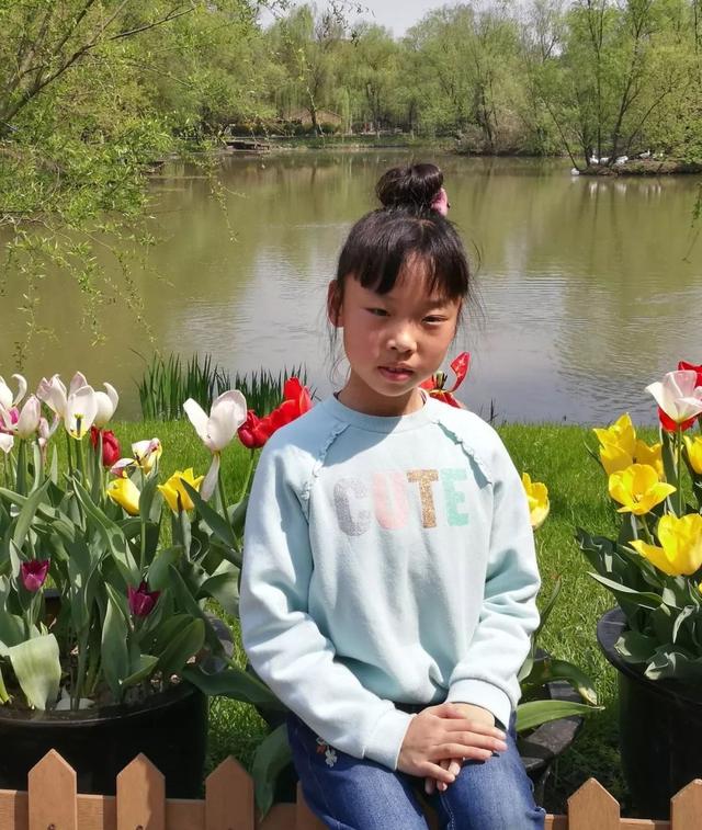 白云朵朵鸟飞来，十二生肖图片（“小书虫”俱乐部佳作专栏第一期——《春芽》）