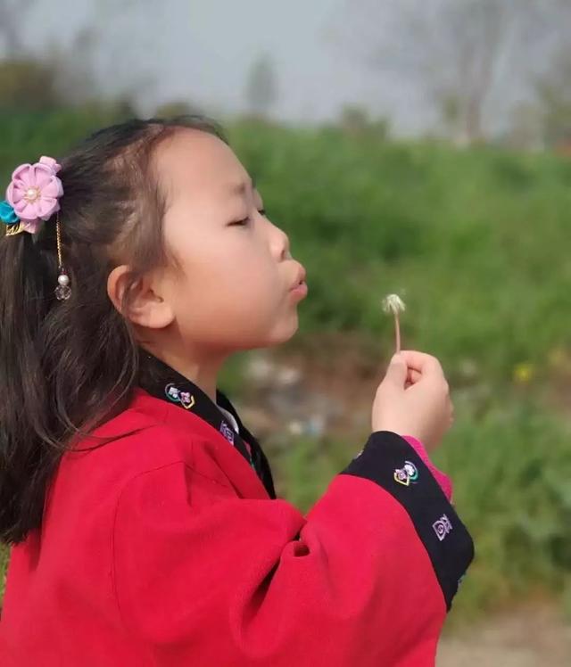 白云朵朵鸟飞来，十二生肖图片（“小书虫”俱乐部佳作专栏第一期——《春芽》）