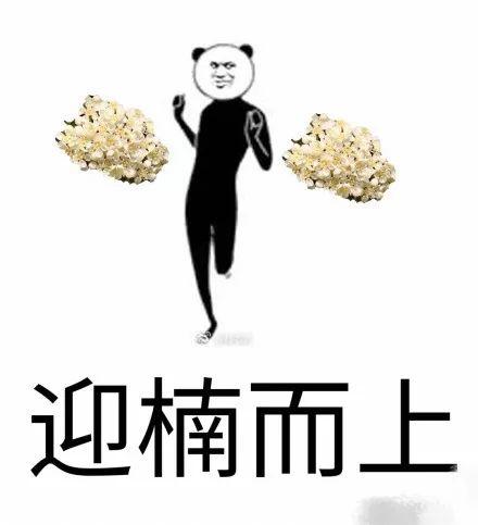 石楠花，上海公园里的石楠花又开了（石楠花茶是什么茶）