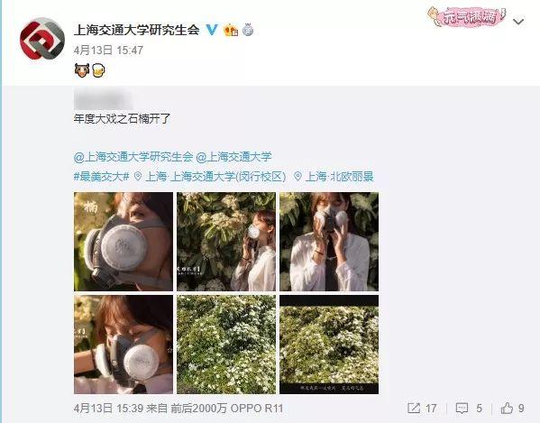 石楠花，上海公园里的石楠花又开了（石楠花茶是什么茶）