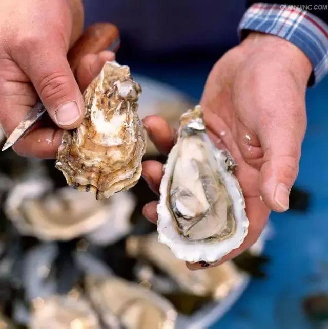 哪些时令海鲜最好，威海老渔民总结的海鲜月历