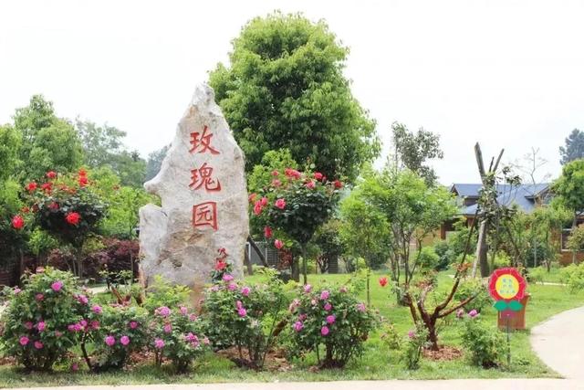 纸牌金陵十三钗游戏规则，金陵十三钗游戏规则怎样的（这些景区门票能打折）