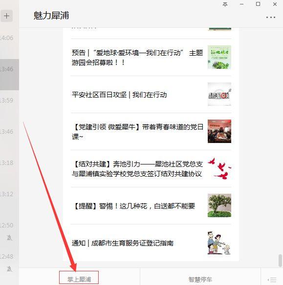 如何办理准生证，沈阳如何办理准生证（便民生活丨要办准生证的看过）