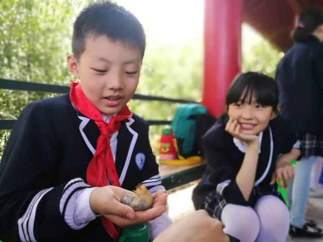 独角仙幼虫怎么养，独角仙幼虫怎么养新手（成长记-独角仙饲养知识）