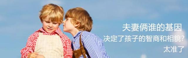 贼怎么组词，贼拼音（贼怎么组词（ABB、AAB、AABB、ABAB、ABAC）