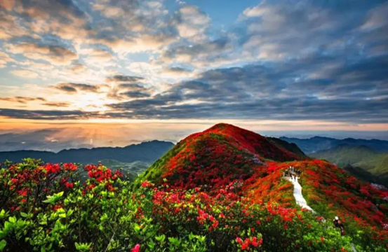 成语什么遮什么罩，遮什么蔽什么成语大全（十大理由让你“五一”假期必来打卡）