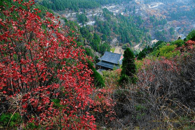 济南旅游景点排名前十，济南景点排行榜前十名（一定要去这10个好玩的地方）