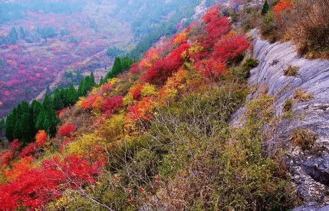 济南旅游景点排名前十，济南景点排行榜前十名（一定要去这10个好玩的地方）