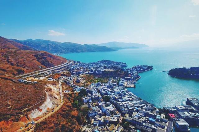 白参菌的功效与作用，白参的功效与作用（生在海拔1000米的珍稀菌菇）