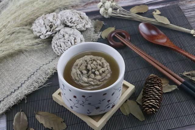 白参菌的功效与作用，白参的功效与作用（生在海拔1000米的珍稀菌菇）